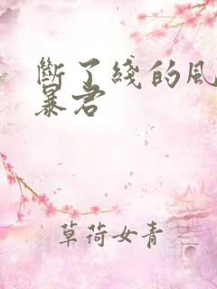 断了线的风筝 暴君