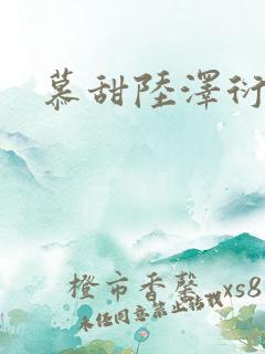 慕甜陆泽衍小说