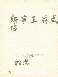 新宁王府成人网站