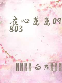 夜心万万090803