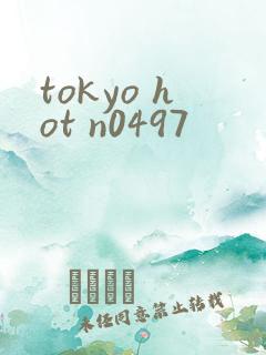 tokyo hot n0497