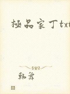 极品家丁txt