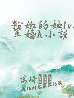 粉嫩的她1v1军婚h小说