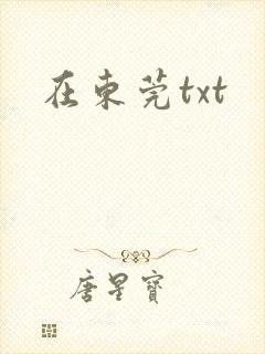 在东莞txt