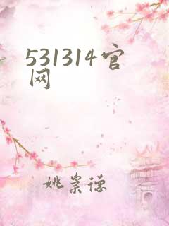 531314官网