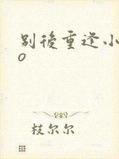 别后重逢小说po