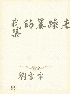 我的暴躁老妈全集