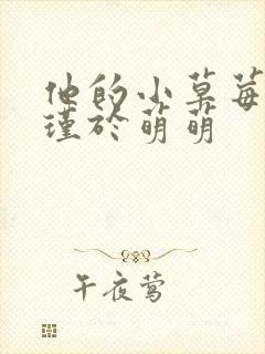 他的小草莓沈修瑾于萌萌