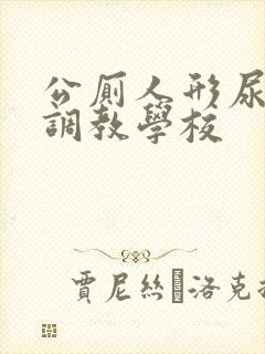 公厕人形尿便器调教学校