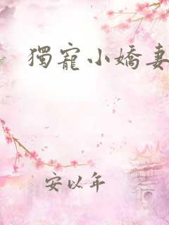 独宠小娇妻