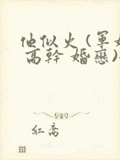 他似火 (军婚 高干 婚恋)全文在线阅读