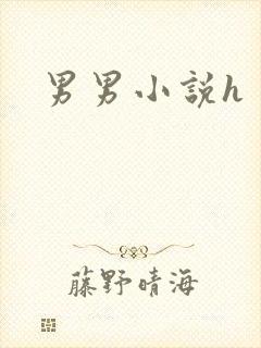 男男小说h