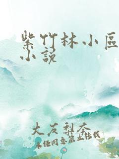 紫竹林小区快递小说