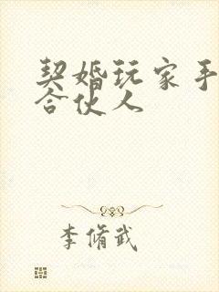 契婚玩家手册之合伙人