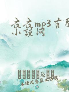 夜夜mp3有声小说网