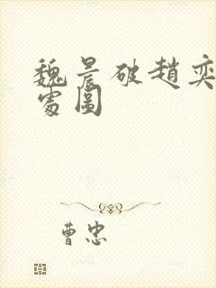 魏晨破赵奕欢的处图