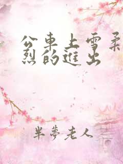 公车上雪柔被猛烈的进出