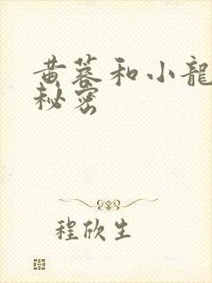 黄蓉和小龙女的秘密