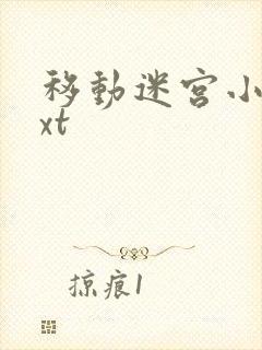 移动迷宫小说txt