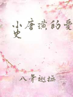 小唐璜的爱情历史