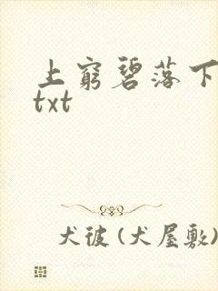 上穷碧落下黄泉txt