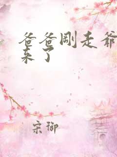 爸爸刚走爷爷就来了