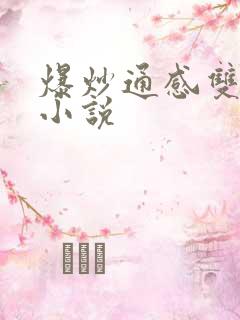 爆炒通感双胞胎小说