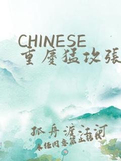 CHINESE重庆猛攻张先生