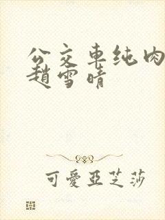 公交车纯肉超H赵雪晴