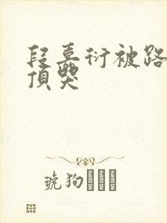 段嘉衍被路星辞顶哭