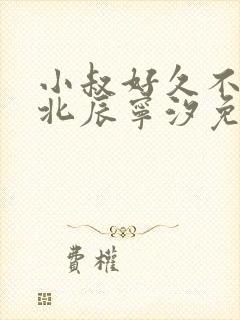 小叔好久不见顾北辰宁汐免费阅读