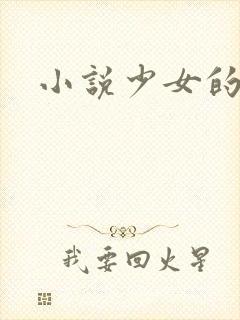 小说少女的心