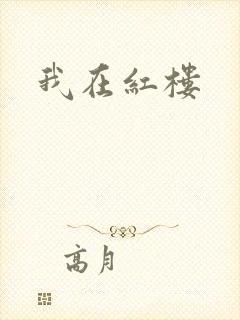 我在红楼