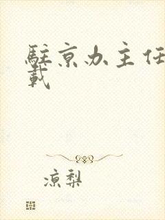 驻京办主任 下载