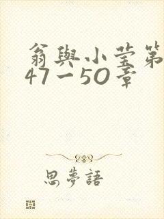 翁与小莹第十部47一5O章