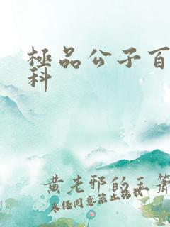 极品公子百度百科