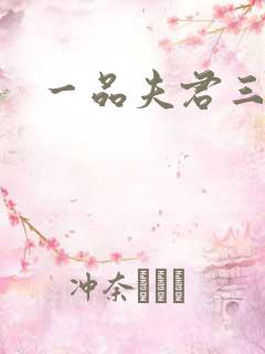 一品夫君三流妻