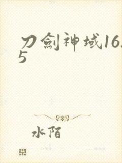 刀剑神域16.5