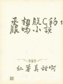 丞相朕C的你舒服吗小说
