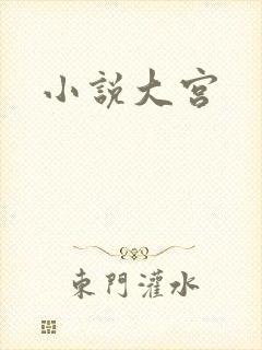 小说大宫
