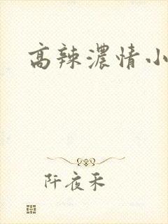 高辣浓情小说