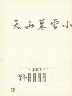 天山暮雪小说