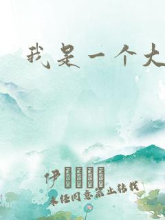 我是一个大盗贼