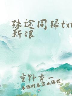 殊途同归txt新浪