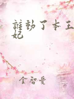 谁动了本王的悍妃