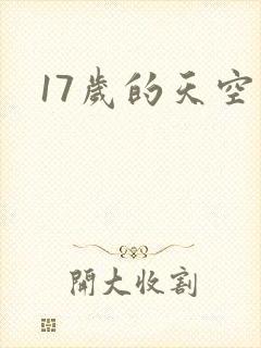17岁的天空