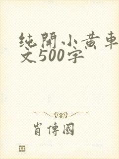 纯开小黄车小短文500字