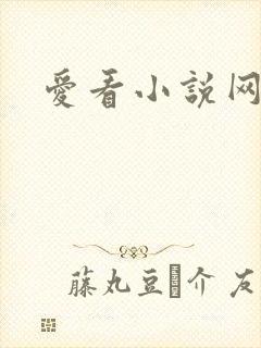 爱看小说网