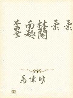 李南林素素小说笔趣阁