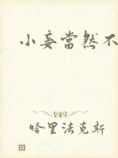 小妾当然不如妻